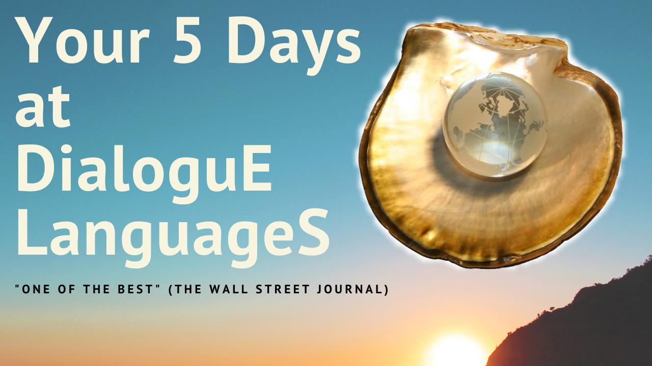 Your 5 days at Dialogue Languages